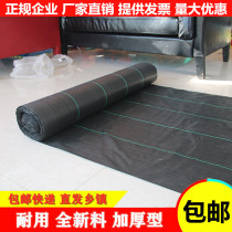 Grass cloth weeding cloth anti-aging horticultural cloth orchard fruit tree covering grass cover grass cloth grass cloth grass cloth weeding ground cloth