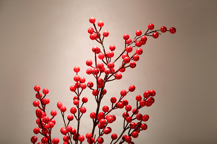 Simulation flower crabapple rich fruit acacia red beans dry flower, glass vases, flower arranging flowers, ceramic decoration floor decoration