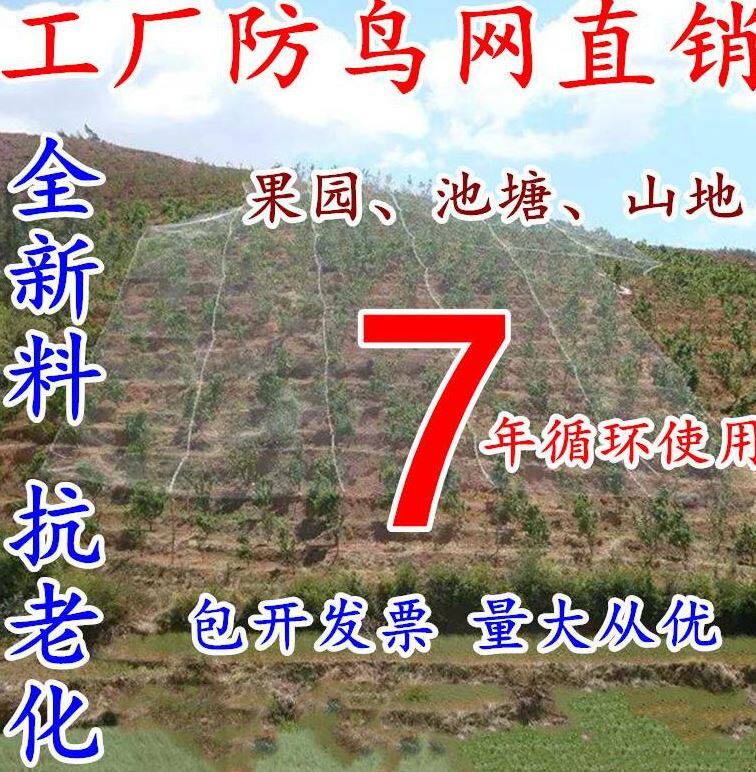 Anti - Ukraine protective orchard vineyard thickness 1 5 2 0 2 5 net eye cherry small enclosed vineyard