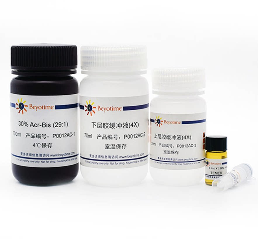 碧云天 P0012AC SDS-PAGE凝胶快速配制试剂盒