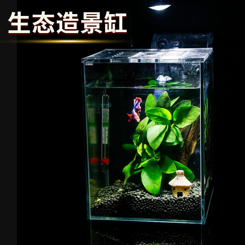 Desktop Eco Fish Tank Super White Glass Fighting Fish Special Cylinder Zebra Fish Aquarium Creative View Transparent Little Fish Tank