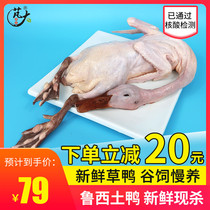 Great Food Fresh Duck Meat Grass Duck 2-Year Old Duck Farmhouse Whole Linen Duck Grass Duck Grass Duck 2 5 catty