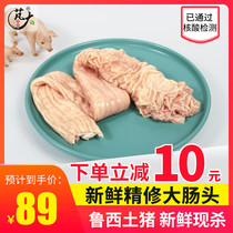 Big Food Pig Large Intestine Head 1000g Rusi Groundhog Fresh fresh and large intestine head