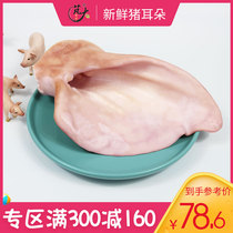 Large Food Fresh Pig Ears 980g raw pig ears Stewed Halogen Ingredients Pig Ears