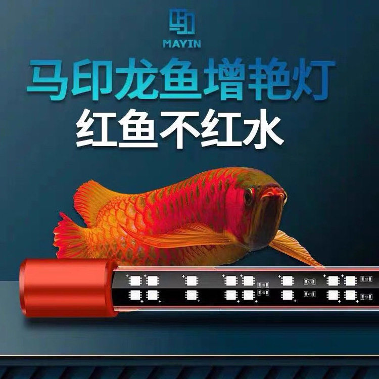 MAYIN 龍魚大賞専用三基色発色灯 3000K MAYIN 龍魚大賞専用三基色発色