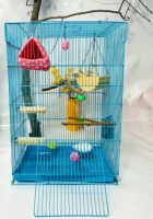 F2 Blue или Pink Cage замечает не черный