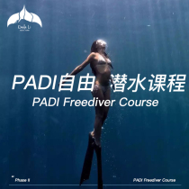 PADI free diving course Freediver International Diving Course