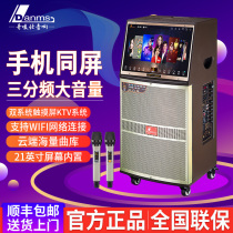 Dan Mark Outdoor High Power Square Dance Sound Mic microphone all-in-one touch display video KTV sound box