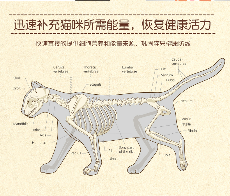 Thêm cà phê Med IN-KAT cho mèo Bộ dinh dưỡng canxi cao Kem dinh dưỡng canxi cao * 2 + kem dưỡng tóc * 1 - Cat / Dog Health bổ sung sữa bột cho mèo con