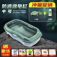 [冲量促销?【北欧绿 中号缸+小乌龟+护龟宝】送礼包]