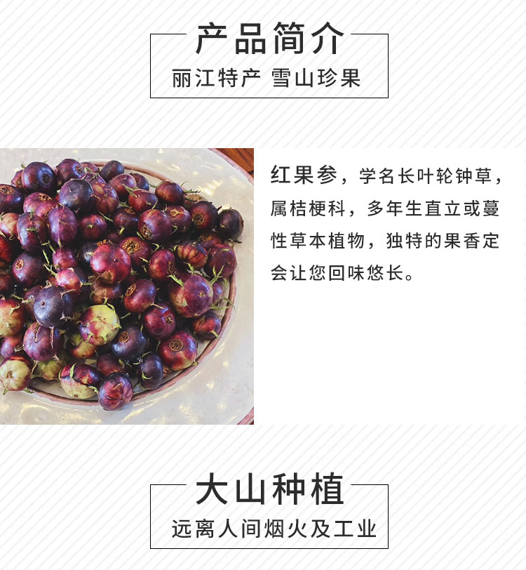 土哆哆 稀有水果红果参 蜘蛛果 120g*6盒 图3
