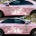 Miếng dán xe King of Glory Xe của Yaomei Cai Wenji sửa đổi trang trí thân xe bằng vòng hoa hai bên để che vết xước và chống thấm nước logo của các hãng xe hơi decal xe hơi