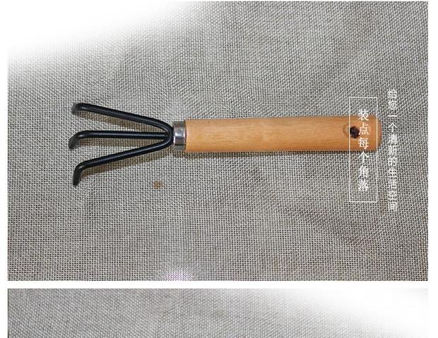 Giống làm vườn, hoa, rau, xẻng nhỏ, thích hợp cho trẻ mẫu giáo, trồng trọt gia đình, xẻng - Nguồn cung cấp vườn vòi nước tưới cây