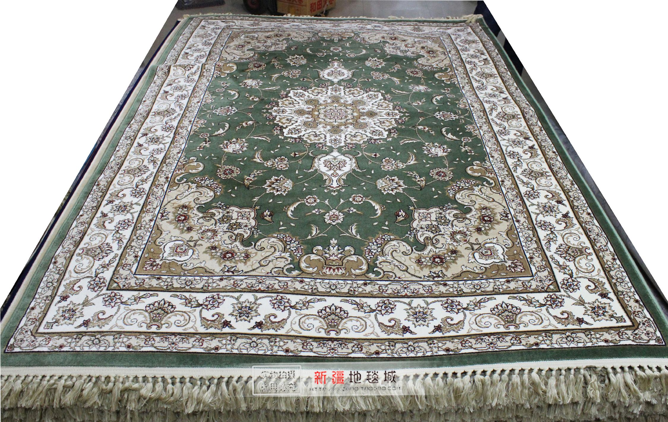 Xinjiang Carpet Silk Blanket Thickened 55 Living room Bedroom dining room Book room Tea Table Full paved with doormat Tian Garden Modern Brief