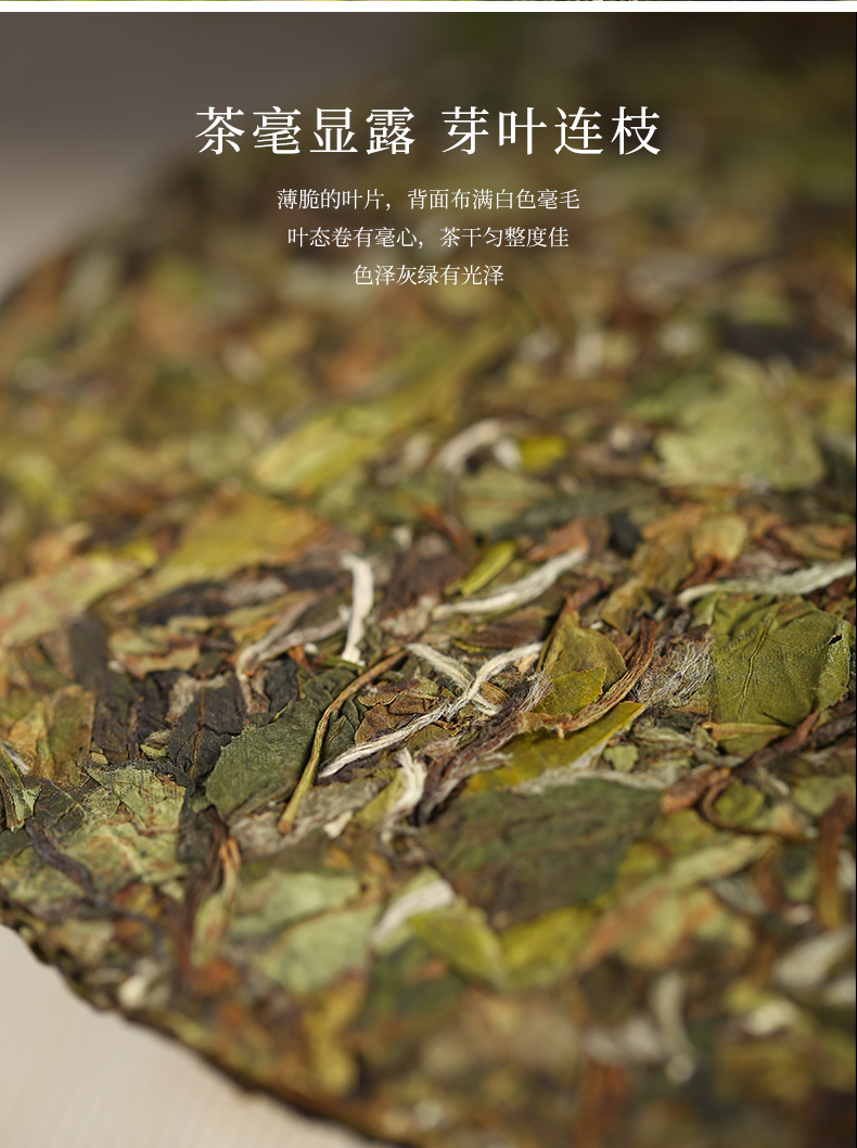 史低 天猫连续3年销冠 馥益堂 福鼎白茶 100g 图3