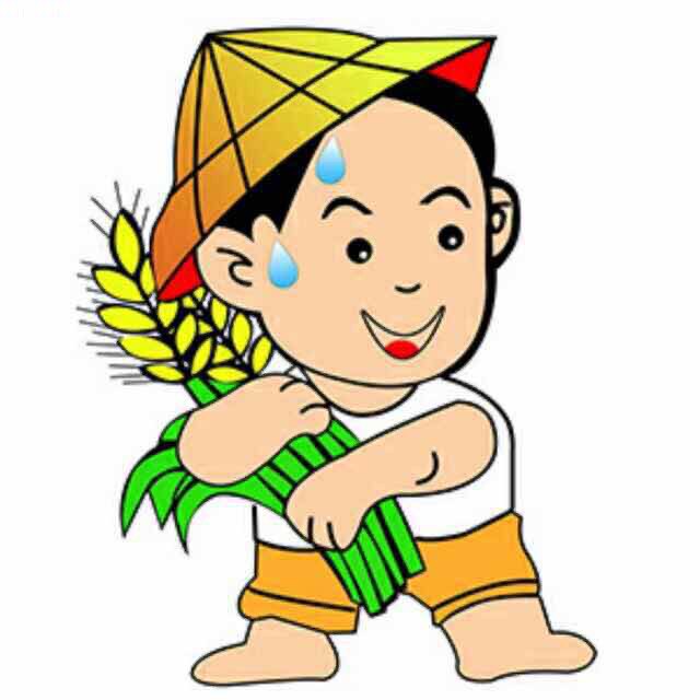 云上农家