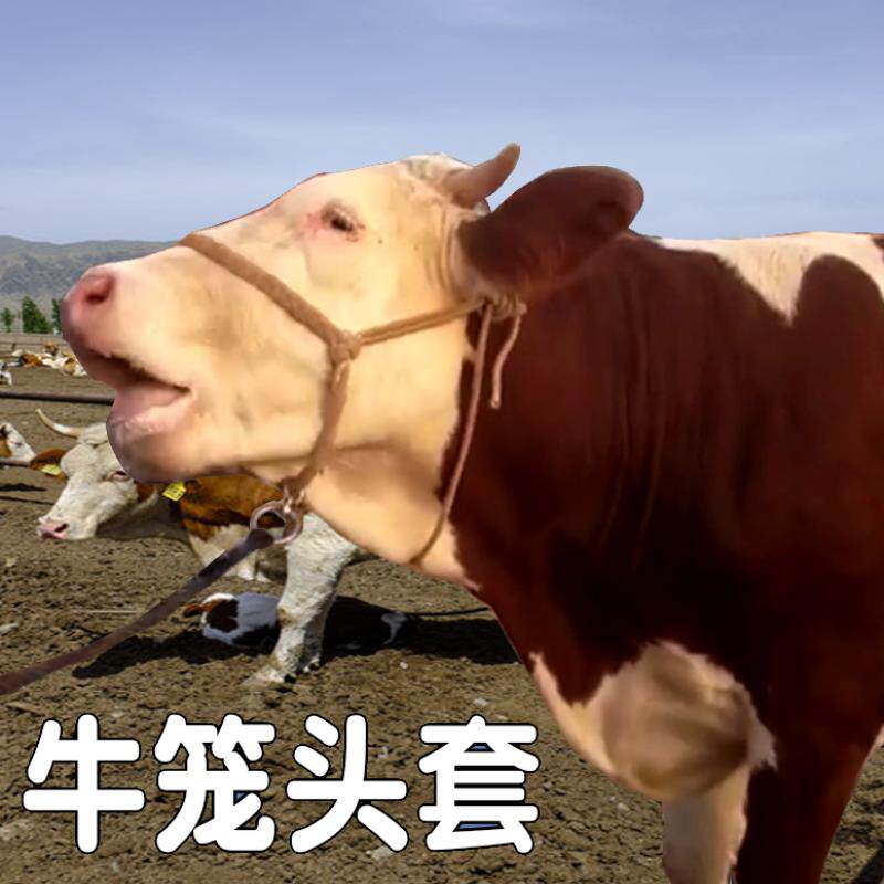 Cattle Supplies Tether Tether Tether Tether Rope Mound Rope Large Canine Traction Rope Bull Cage Headgear Leash Calf calf thickened