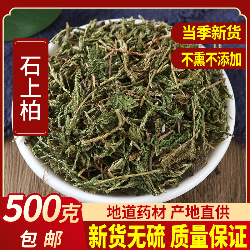 Stone Piper - Chinese herbal medicine 500 grams are sold in various Chinese medicine materials
