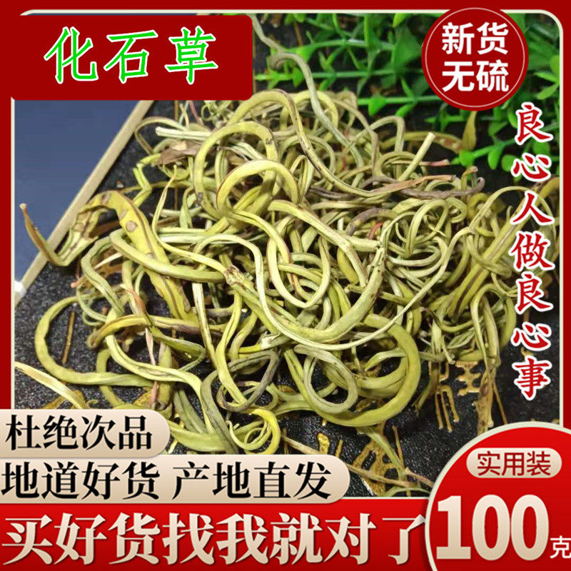 New arrival Fossil Grass 100g Kidney Essence Grass Non-Cat's Whiskers Chinese Medicinal Wild Shiwei Dissolving Stone