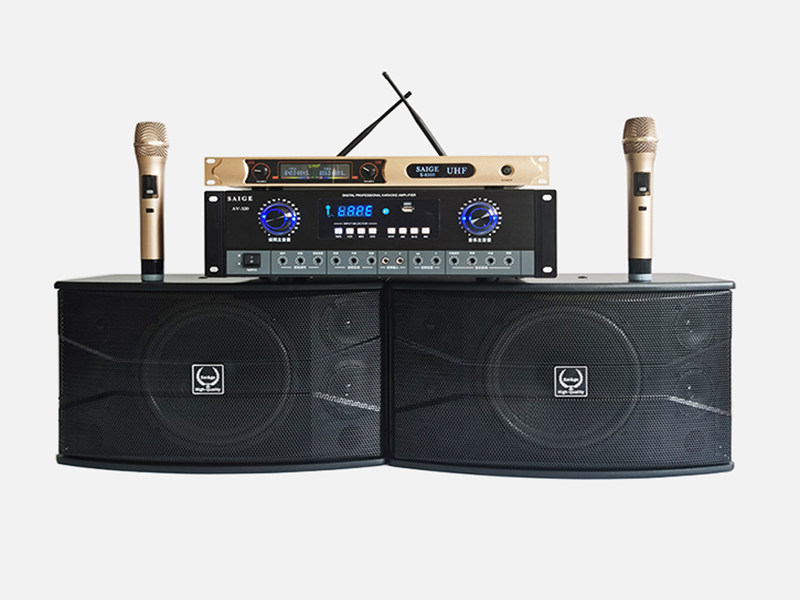 10-inch home karaoke Professional KTV Acoustic Suit Dance Room Wall-mounted Conference Room Home Ktv Power Amplifier Speaker