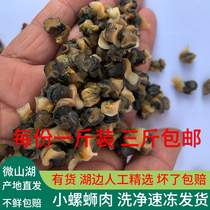 Micro Mountain Lake Original Ecological Stone Snail Meat Fresh Fields Snail Meat Snail meat snail Snail Meat special