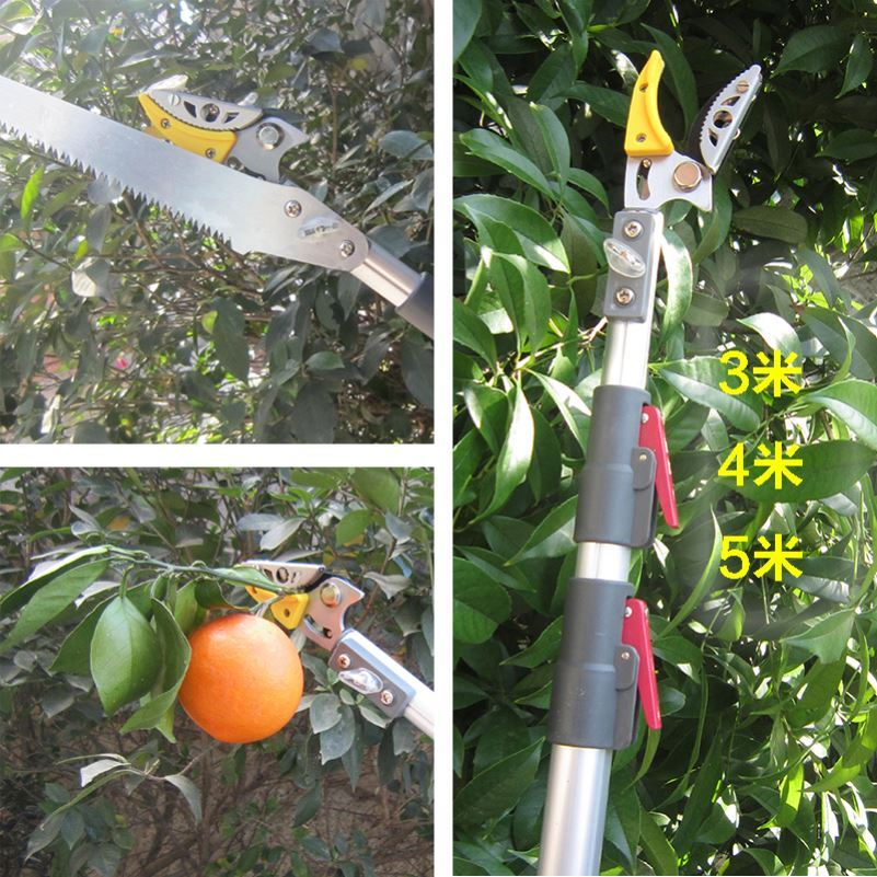 Fruit-agricultural picking up fruit branches High branches cut fruit branches Scissors Cut High Altitude Lengthened Telescopic Pluster Dragon Eye Lychee Clippings