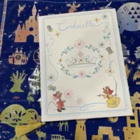 Новая версия Золушки