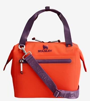 Tiger Skin Lily Mini Ручная ручная ручная сумка с холодным пакетом