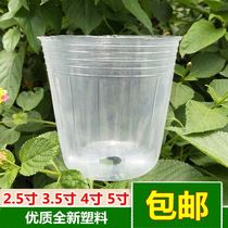 Hoodelan Basin Disposable Flower Pot Nutrient Cup Butterfly Lan Basin Plastic Transparent Basin Monarch Blue Tiger Pilan