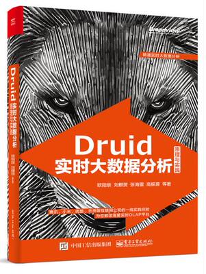 Гарантированная подлинная продукция Druid. Принципы и методы анализа больших данных в режиме реального времени. Оуян Чен Пресса электронной промышленности