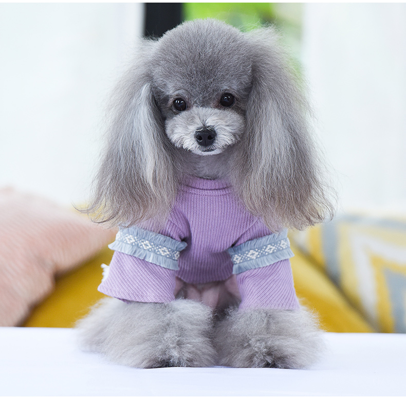 Pet chó quần áo chó con áo len váy công chúa váy gấu gấu sữa sữa chó cái chó cái mẫu - Quần áo & phụ kiện thú cưng áo chó con