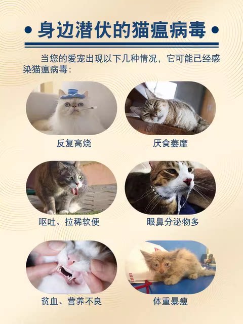 Feline Distemper Test Paper Feline Parvovirus Test Paper FPV Test Paper ແມວ ແມວ ສັດລ້ຽງ ສັດລ້ຽງລູກດ້ວຍນໍ້ານົມ ແລະ ຮາກ