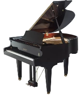 Thương hiệu đàn piano Helen HAILUN150SE cửa hàng grand piano mới cao cấp Hàng Châu giá piano