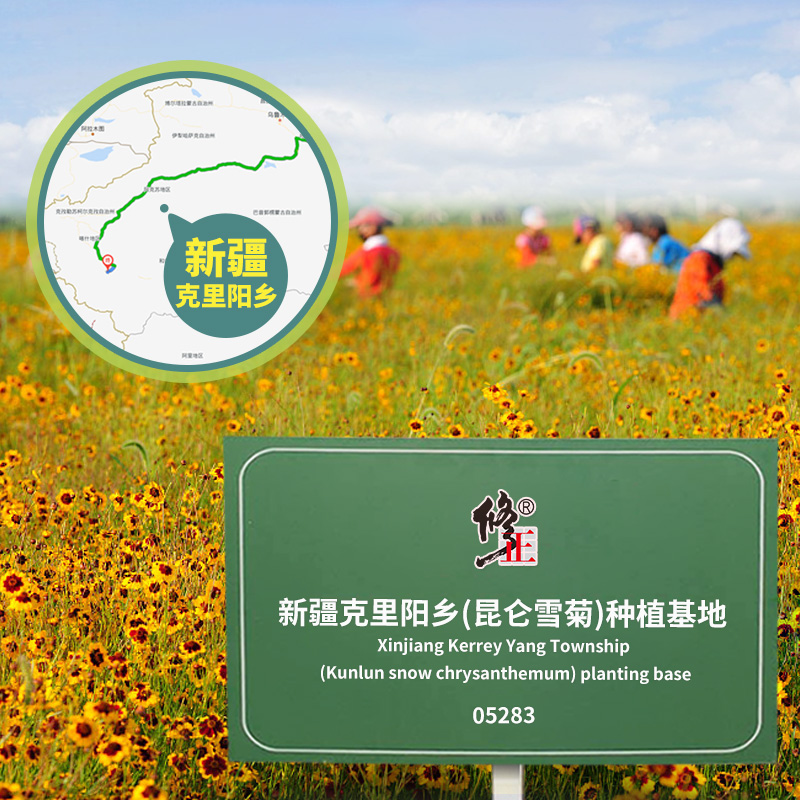 修正 野生昆仑雪菊50g 14元包邮(69-55元券)