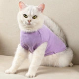 Летний тонкий шнурок-держатель, милый жилет, летняя одежда, популярно в интернете