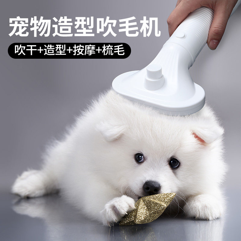 High-power silent hair dryer for small dogs