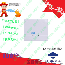 The Pan-Hai Sanjiang KZ-953 Output Module