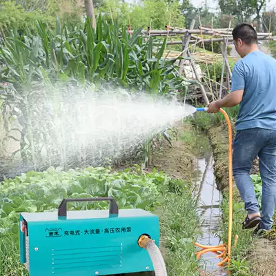 Charging watering vegetable water pump agricultural irrigation pump 12V high power self-priming diaphragm pump household small pump