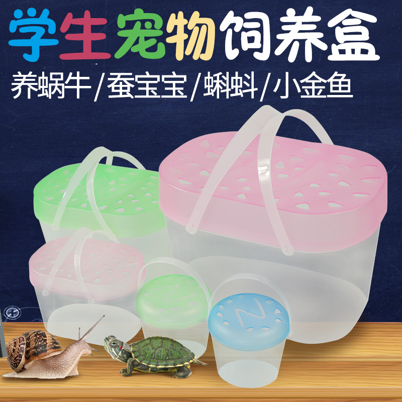 Pet feeding box with cover for children and children portable small plastic turtle tank small fish tank tadpole silkworm baby pet box