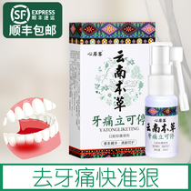 Toothache toothache pain reliever Ningli can stop spray gel on fire anti-inflammatory swollen gums pain moth artifact quick effect