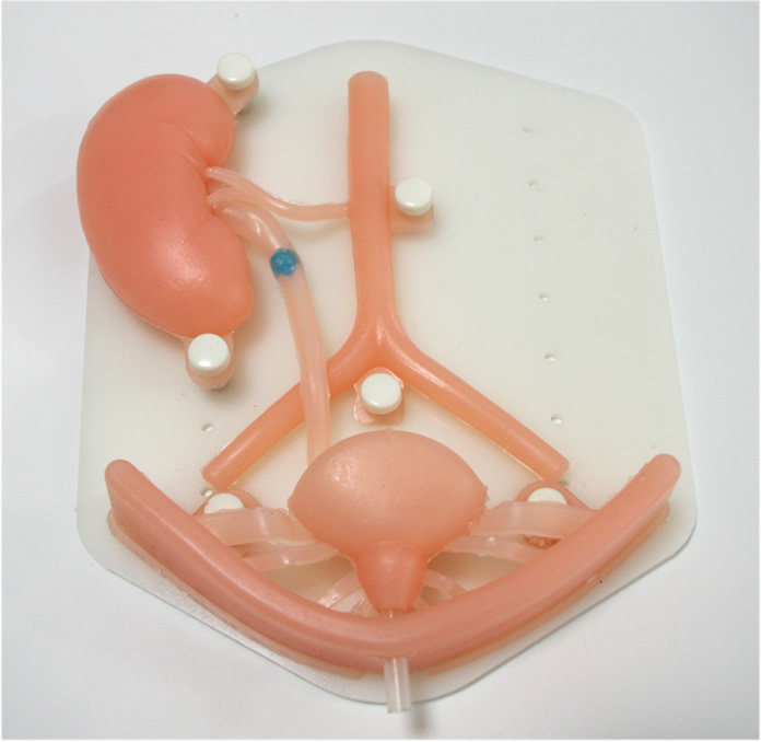 泌尿科腹腔镜模拟训练模块 泌尿系统硅胶器官 泌尿手术训练