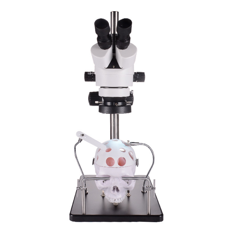 显微外科手术训练模拟器  脑外神外高端训练器 人脑模型 高清摄像