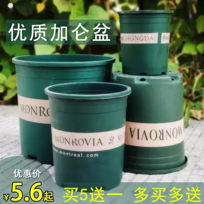 Gallen pot thickened chunky large plastic flowerpot simple clearance second generation household multi-meat rose Gardenia green plant