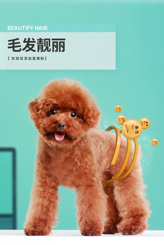 (Không có kệ) Thức ăn cho chó đặc biệt dành cho chó con Chó nhỏ Chó lớn Chó Teddy Pomeranian Golden Retriever General - Chó Staples