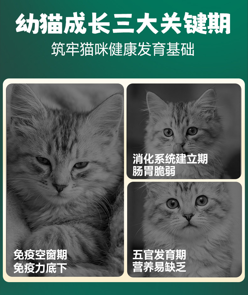 安享好物 安享B级猫粮-凯锐思幼猫 奶糕猫粮 国标 