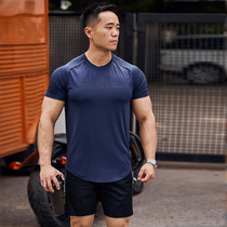 AlphaGym printed speed dry short sleeves Mens spring summer style Body Elastic Training Fitness Sports Running T-shirt