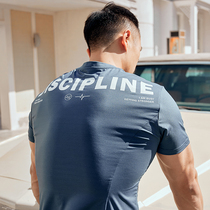 Alpha disciplined printing speed dry short sleeves European and American hard nuclear display big fitness training perspiration quick dry sports blouses
