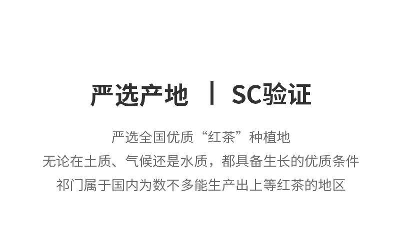 【中国直邮】谷本道元 可食用烘焙专用 伯爵红茶粉 100g