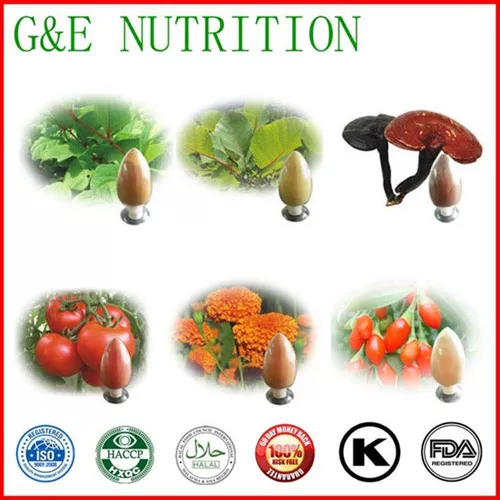 Профессиональная запас зеленого кофейного фасолика экстракта 100 г высококачественных продуктов Бесплатная доставка скидка нового продукта.