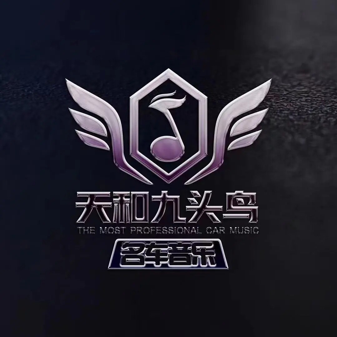 九头鸟车载音乐U盘